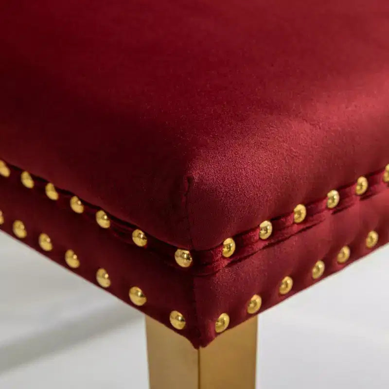 Chaises de salle à manger modernes et confortables, chaises de cuisine en velours capitonné