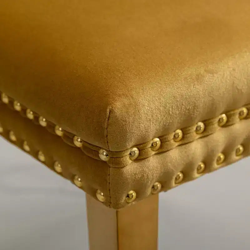 Chaises de salle à manger modernes et confortables, chaises de cuisine en velours capitonné