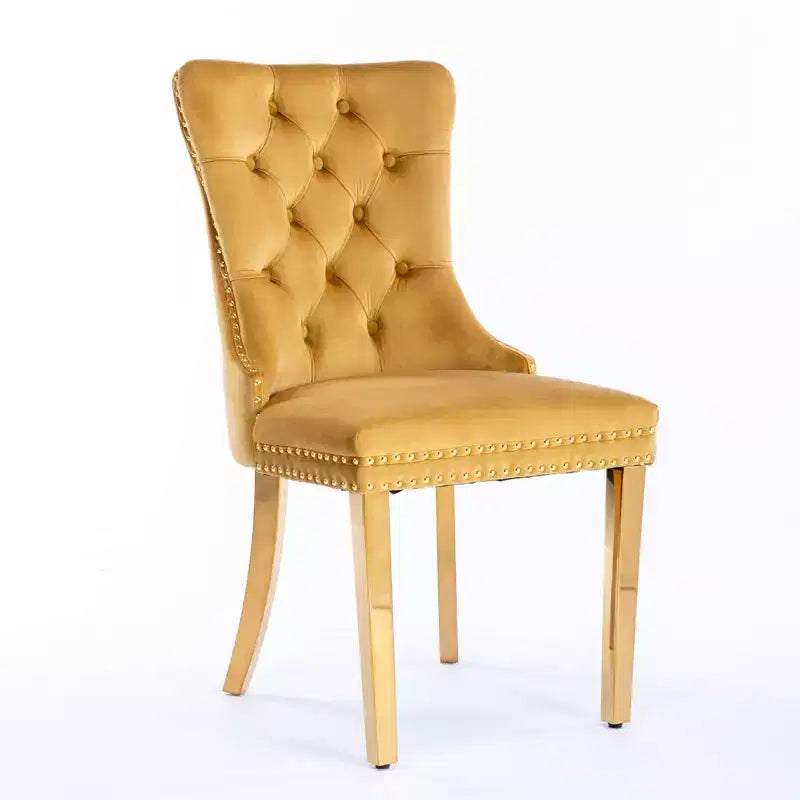Chaises de salle à manger modernes et confortables, chaises de cuisine en velours capitonné
